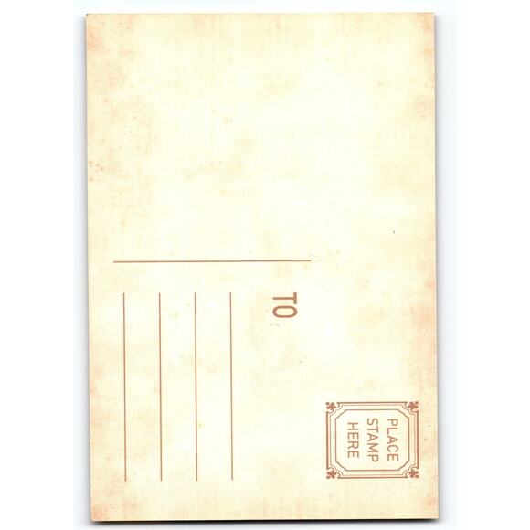 Gothic Fairy Halloween Postcard Vintage Style 5.5x4 Chrome Litho - Picture 2 of 2